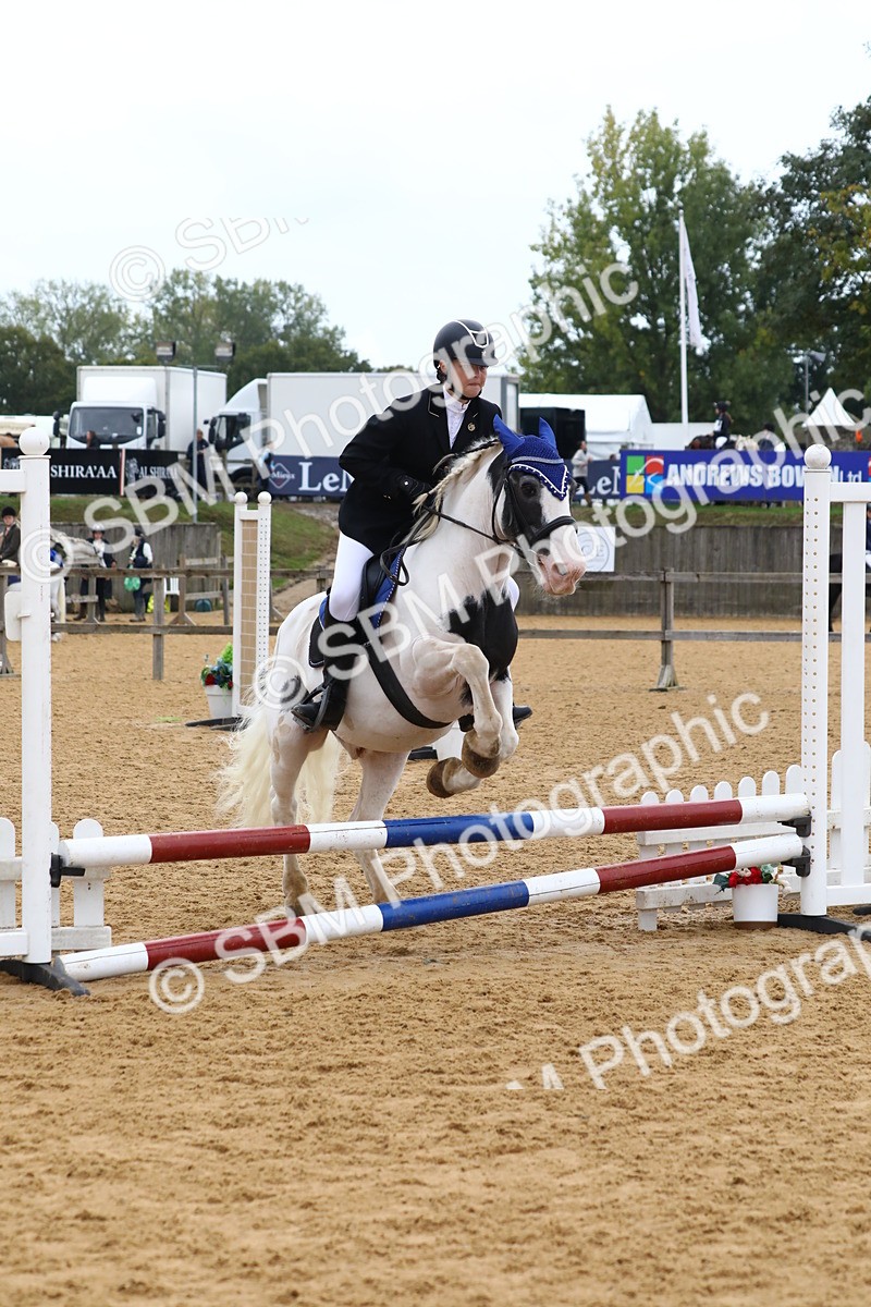 SBM_60128 - J63 - Junior Pony 50cm Championship