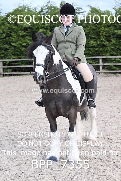 BPP_7355 - RING 1  (RIDDEN HORSES / IN HAND / VETERAN ETC)