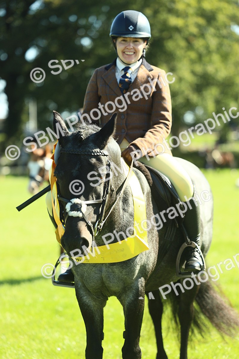 SBM_39065 - S29 - Novice & Newcomers Working Hunter Pony
