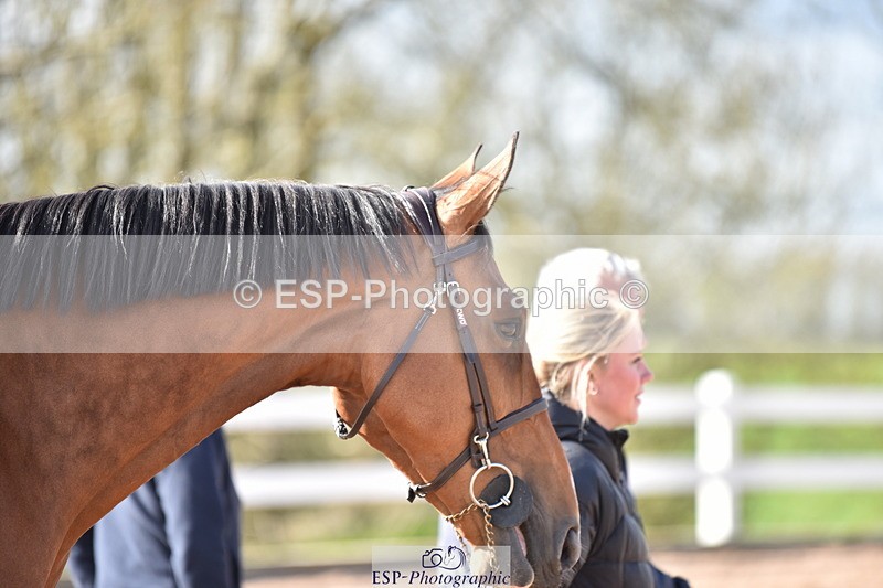 240417A-162934-01231 - 4pm to Finish