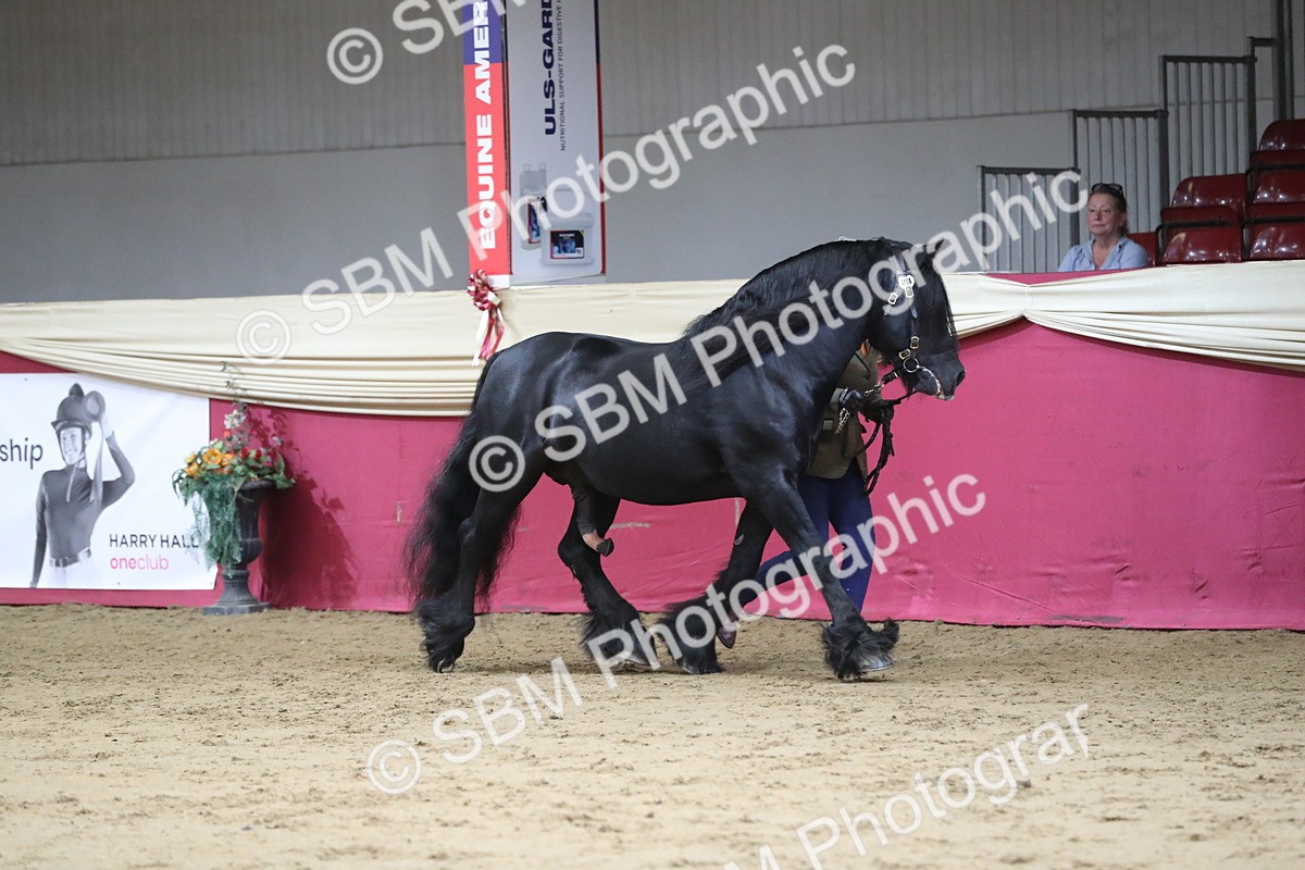 SBM_04988 - Class 8R- Regional -IH Veteran