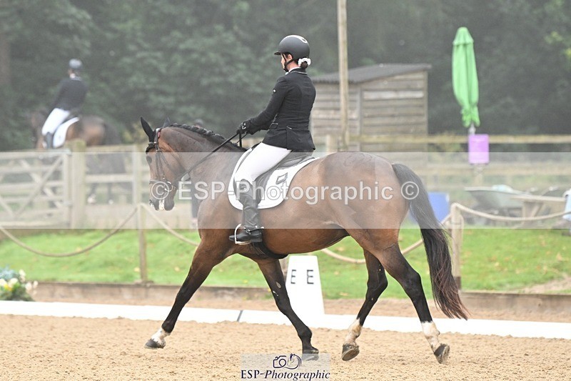 240811-093830-04822 - 119-Alice.Kneen-Dazzling.Springtime