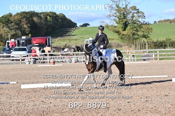 BPP_8879 - LONG ARENA NOVICE 6