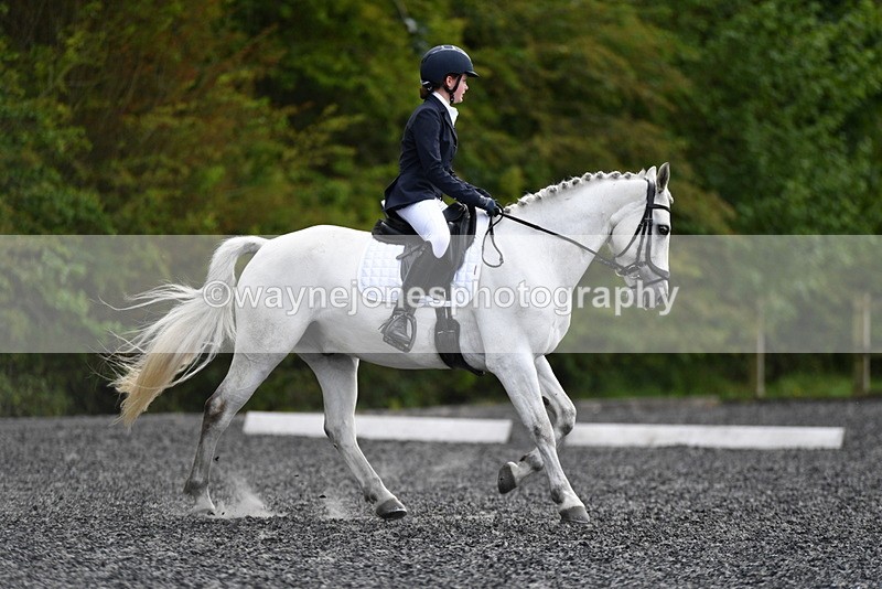 WJ5_1733 - Time 14:20 to 15:01