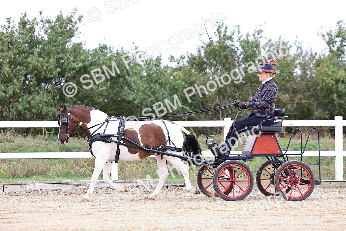 SBM_000289 - Class 2 - Exercise Vehicle 13.2hh & Under