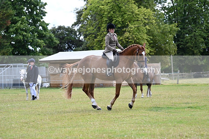 WJ7_9326 - Class 8 Ridden Veterans
