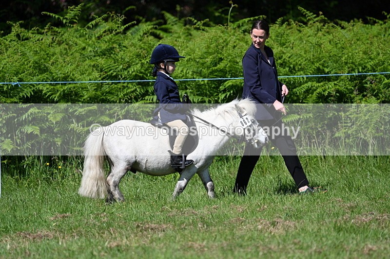 WJ7_0677 - Class 8 First Rally Pony