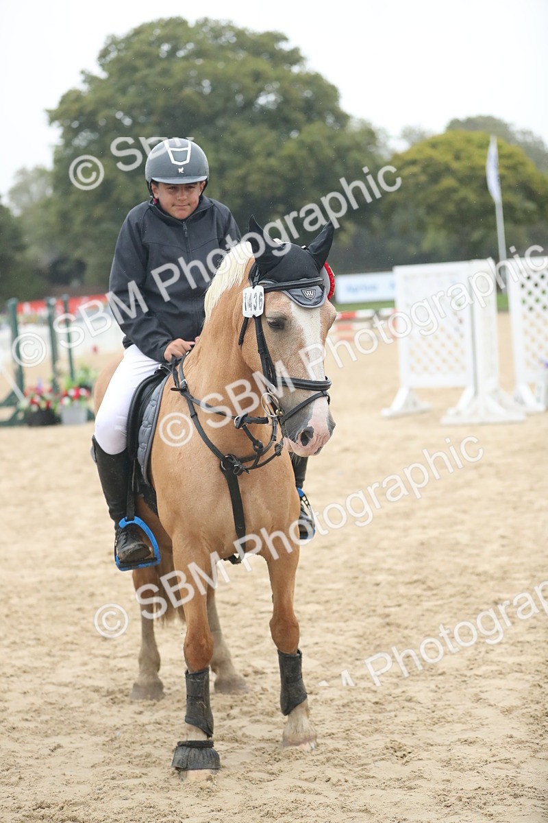 SBM_74315 - Supreme championship Junior Pony 70cm 75cm