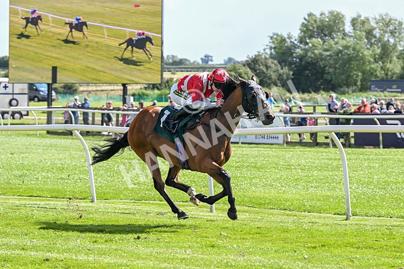 050825-Race 3-Sophar Sogood-5787 - Race 3