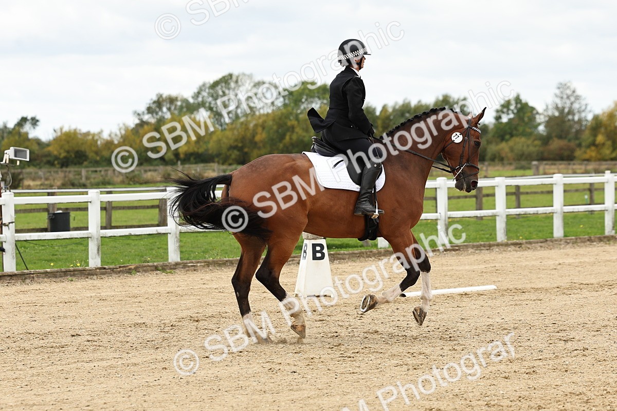 SBM_004511 - Class 69 - Novice 2