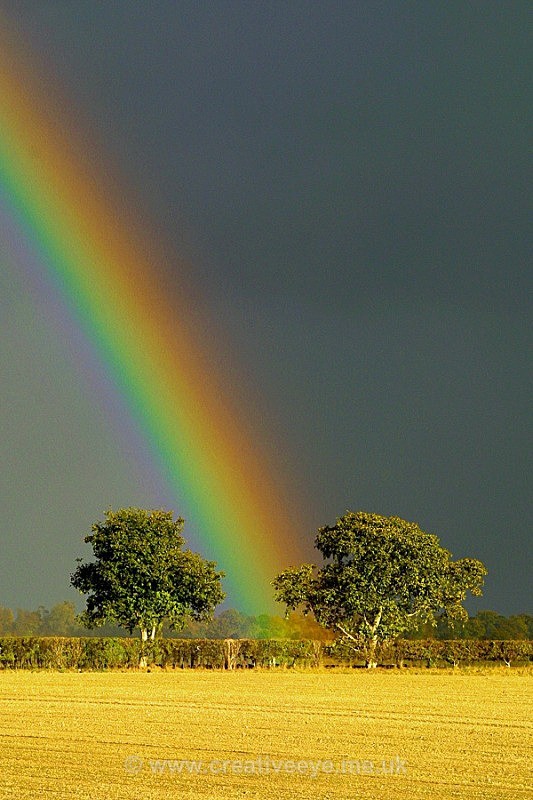No.0017. 'Pot of Gold' - Landscape
