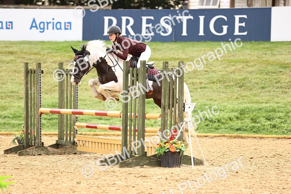 SBM_58212 - J41 - Grand Tour Horse & Pony 95cm