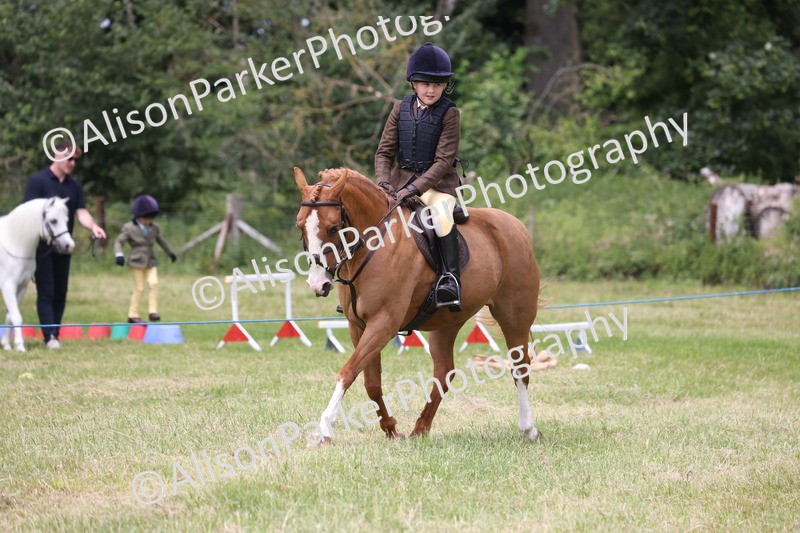 20260614-2895 - Class 22 - Open Working Hunter