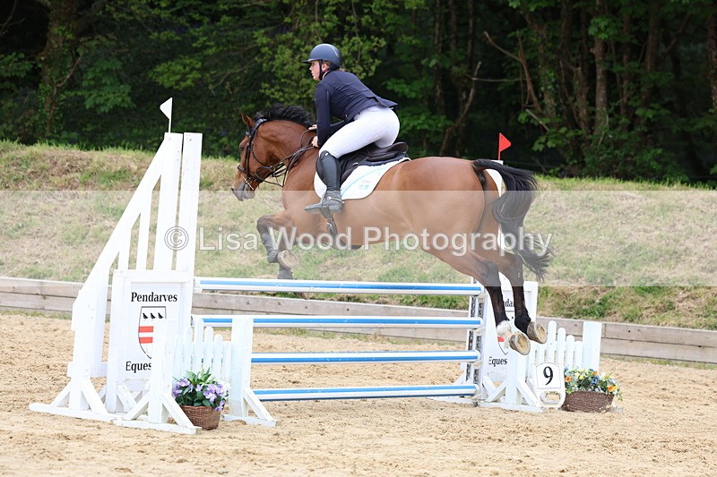 3E7A6403 - Class 4: Senior British Novice/90cm open