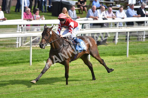 yr09072021r4-17 - Race 4 3.50pm William Hill Plus Bet Club Stakes