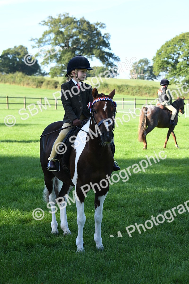 SBM_34089 - S16 - Condition & Turnout - Ridden