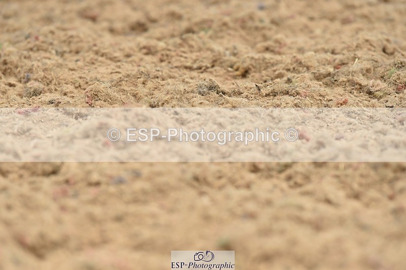 250622-105612-14210 - Quest Cls 25-30 Prelim Tests