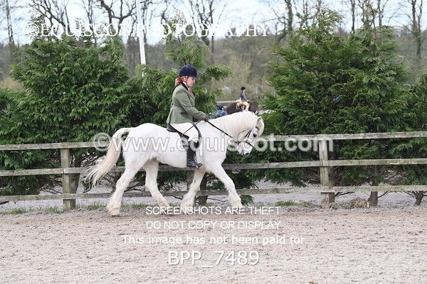 BPP_7489 - RING 1  (RIDDEN HORSES / IN HAND / VETERAN ETC)
