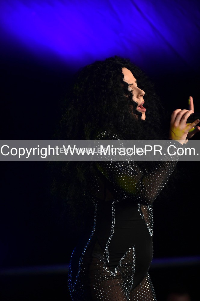 SH4_6006 - The Cher Experience