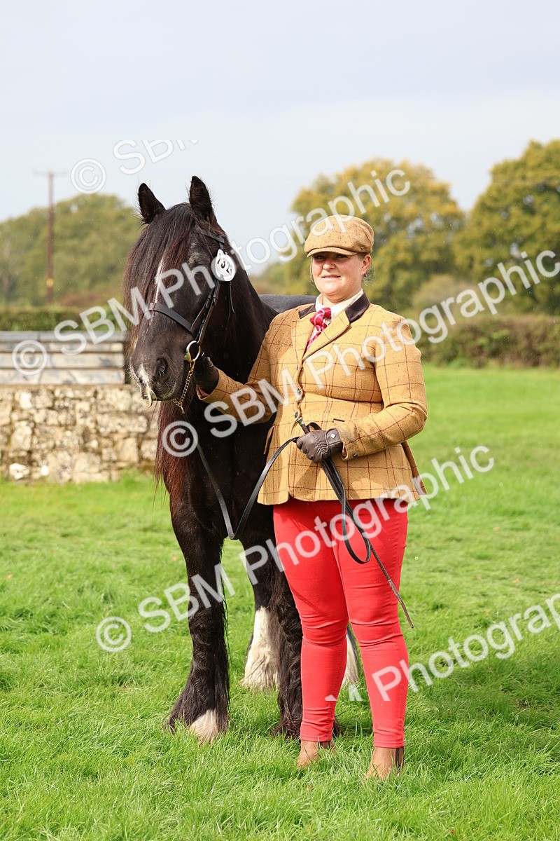 SBM_39314 - S24 - Young Veteran In Hand