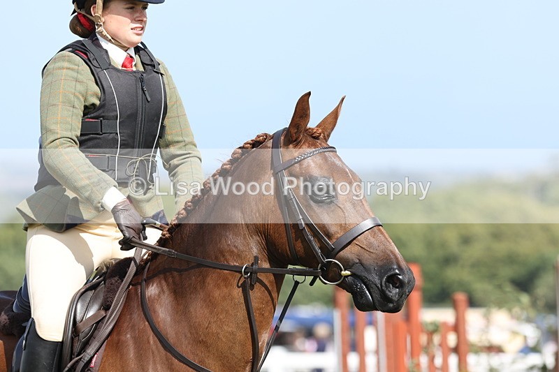 JPP_2538 - Class 20: Working Hunter 70cm