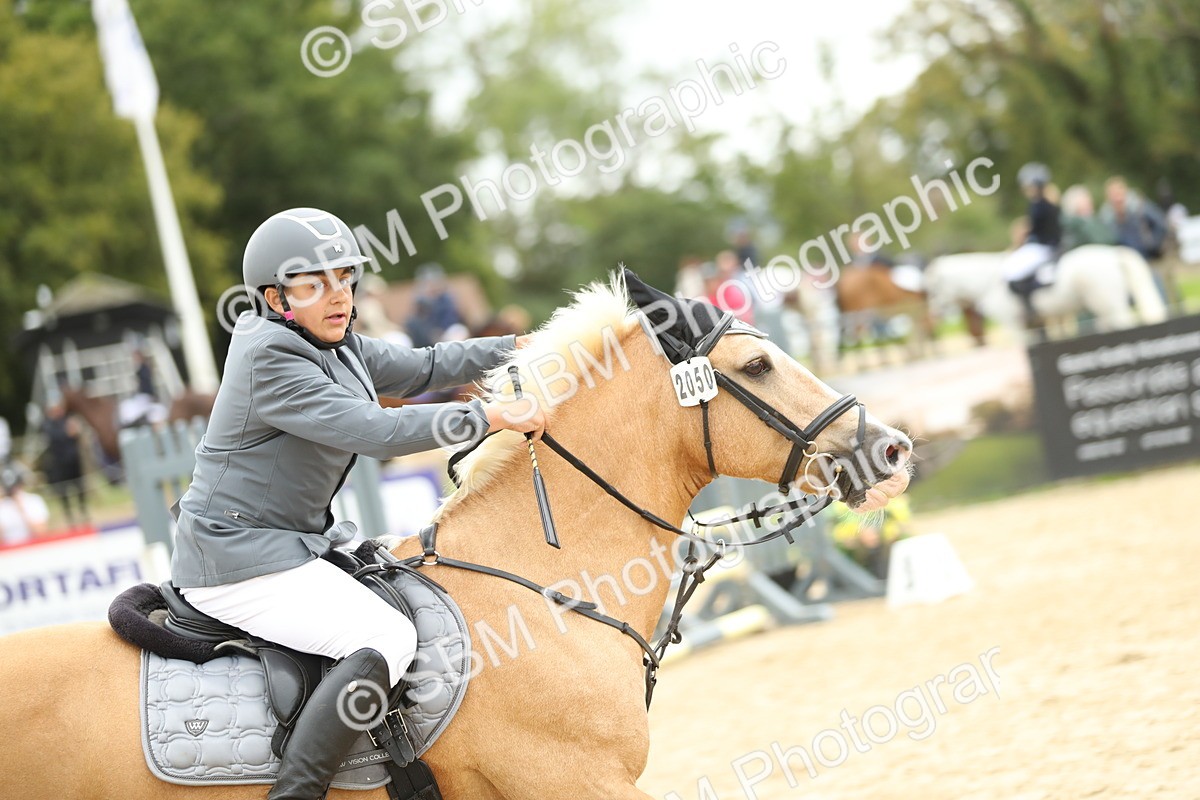 SBM_67810 - J15 - Junior Pony 70cm Championship