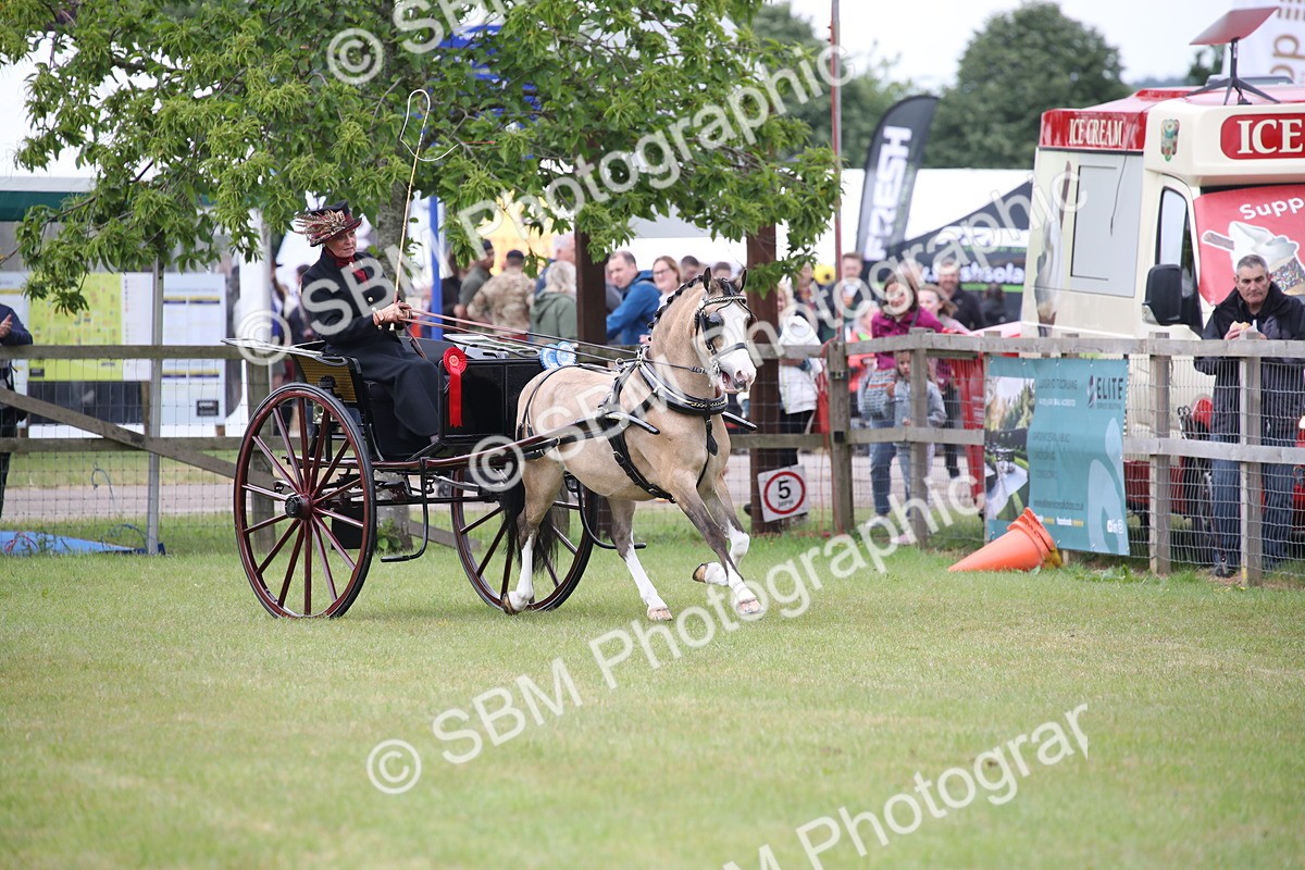 SBM_05869 - Class 12-15 - HOYS Private Driving