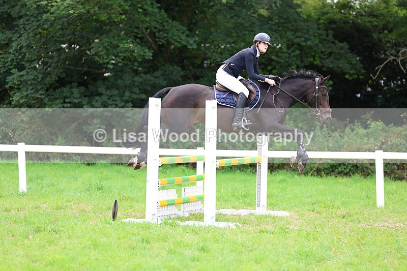 3E7A7003 - Class 5: Senior British Novice/90cm open