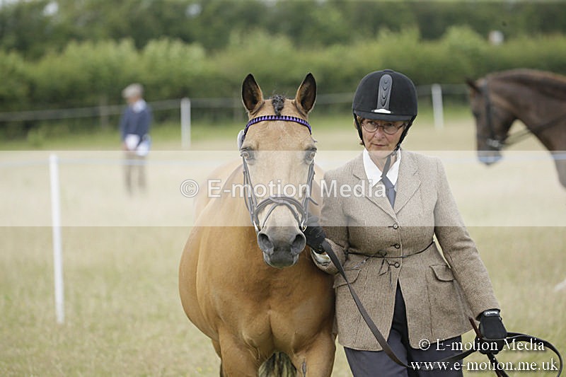 B230619-0477 - Bourne Valley Riding Club Summer Show 23/06/19