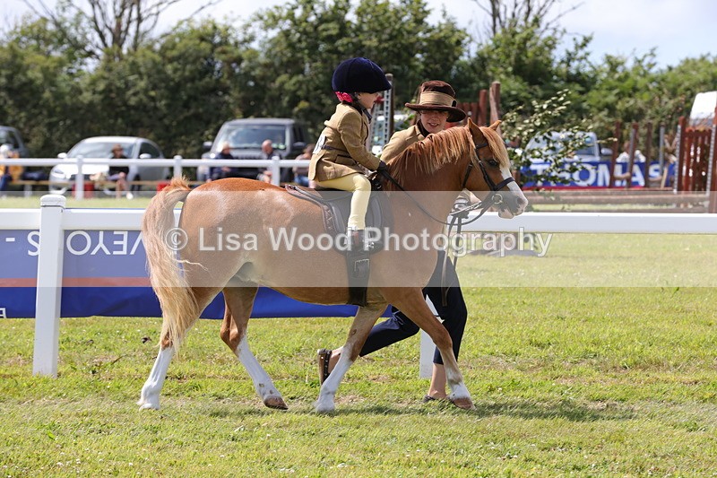 1X9A5059 - Class 36: NPS M&M Lead Rein