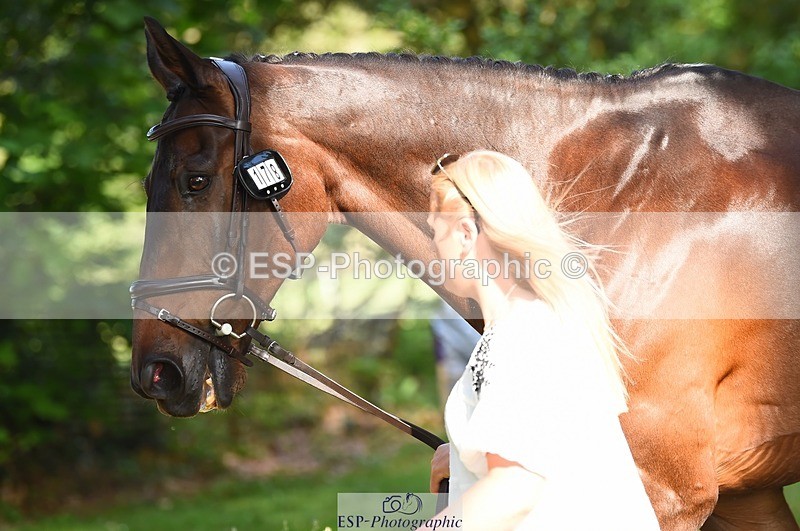 230524-172000-01443 - 178-RIDIRE_DORCHA-Lucy_Stimson-WEDTrotUp+DR