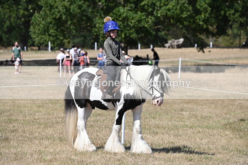 WJ6_9118 - Championship Classes 33-38