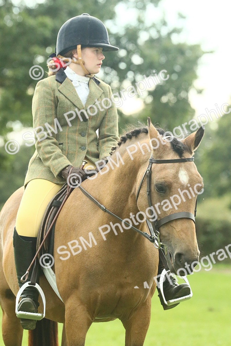 SBM_74116 - S 61 - Show Pony & Show Hunter Pony Ridden