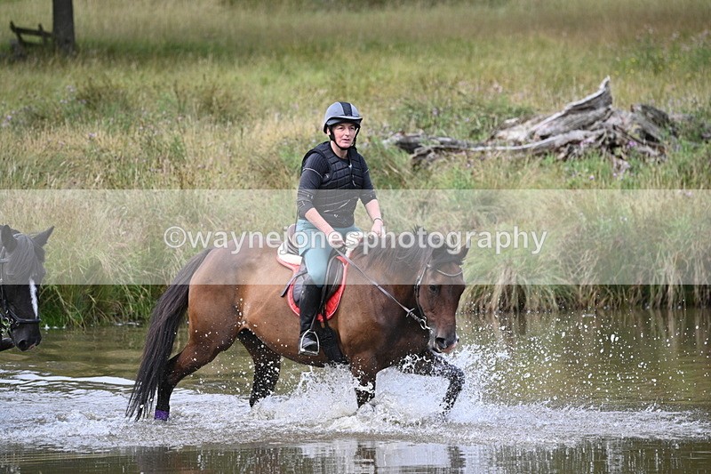 WJ7_0863 - Time at Water 10:09 to 10:47