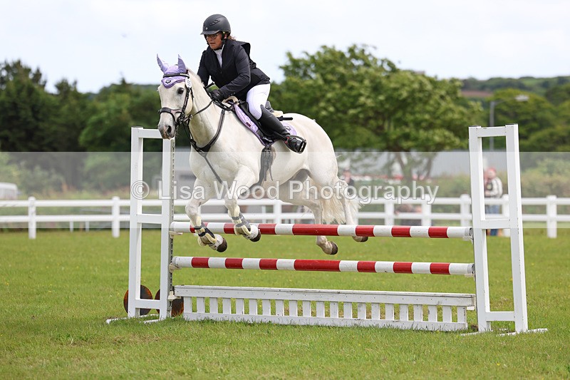 3E7A7743 - Class 13: Senior British Novice/90cm open