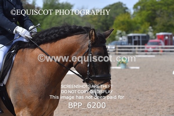 BPP_6200 - 26 F WALKER