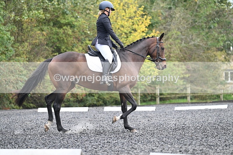 WJ7_3792 - Time 11:04 to 11:38