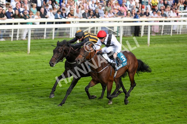 280723-Race 3-Loose Cannon-2836 - Race 3 6.05pm Ire-Incentive, It Pays To Buy Irish EBF Restricted Novice Stakes