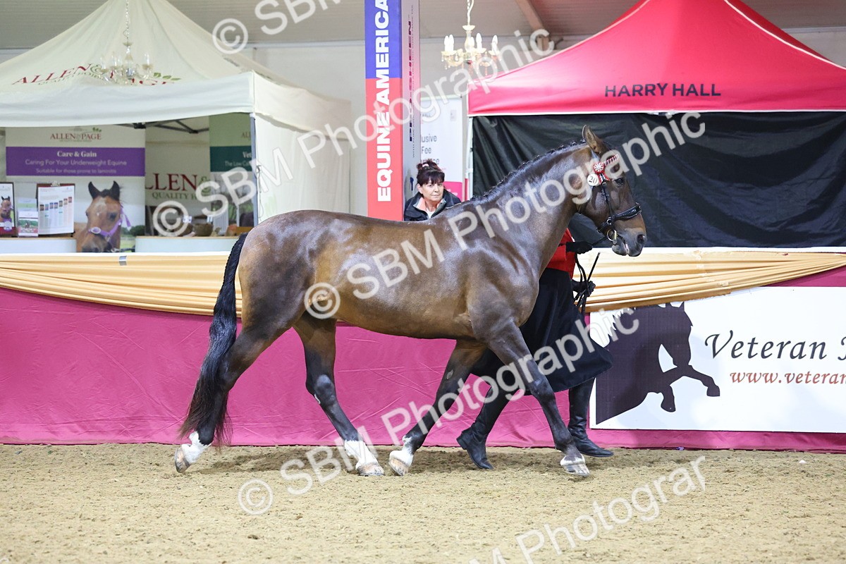 SBM_19092 - Class H Foreign Breeds Champ