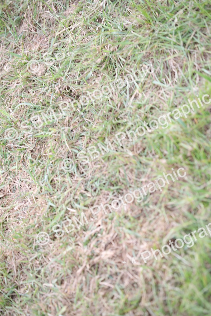 SBM_10091 - Dinky Derby