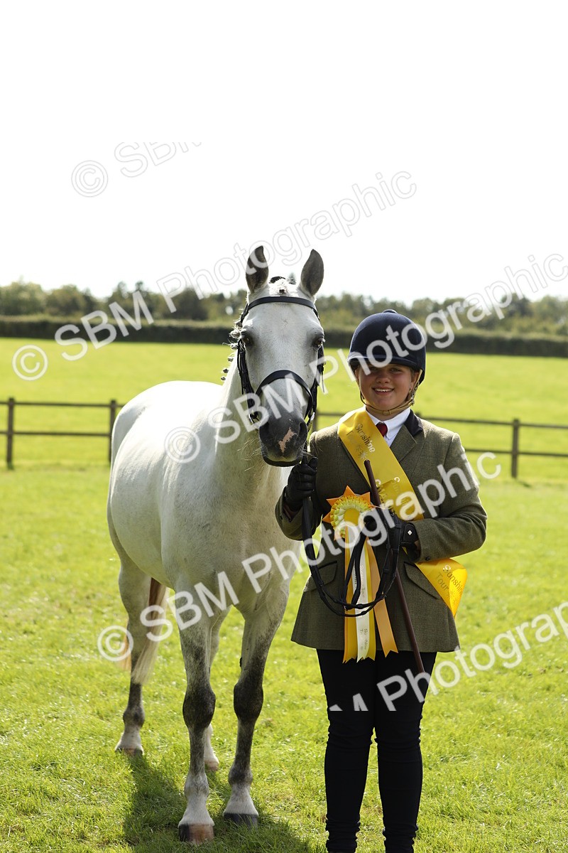 SBM_65618 - S48 - Show Pony & Show Hunter Pony In Hand