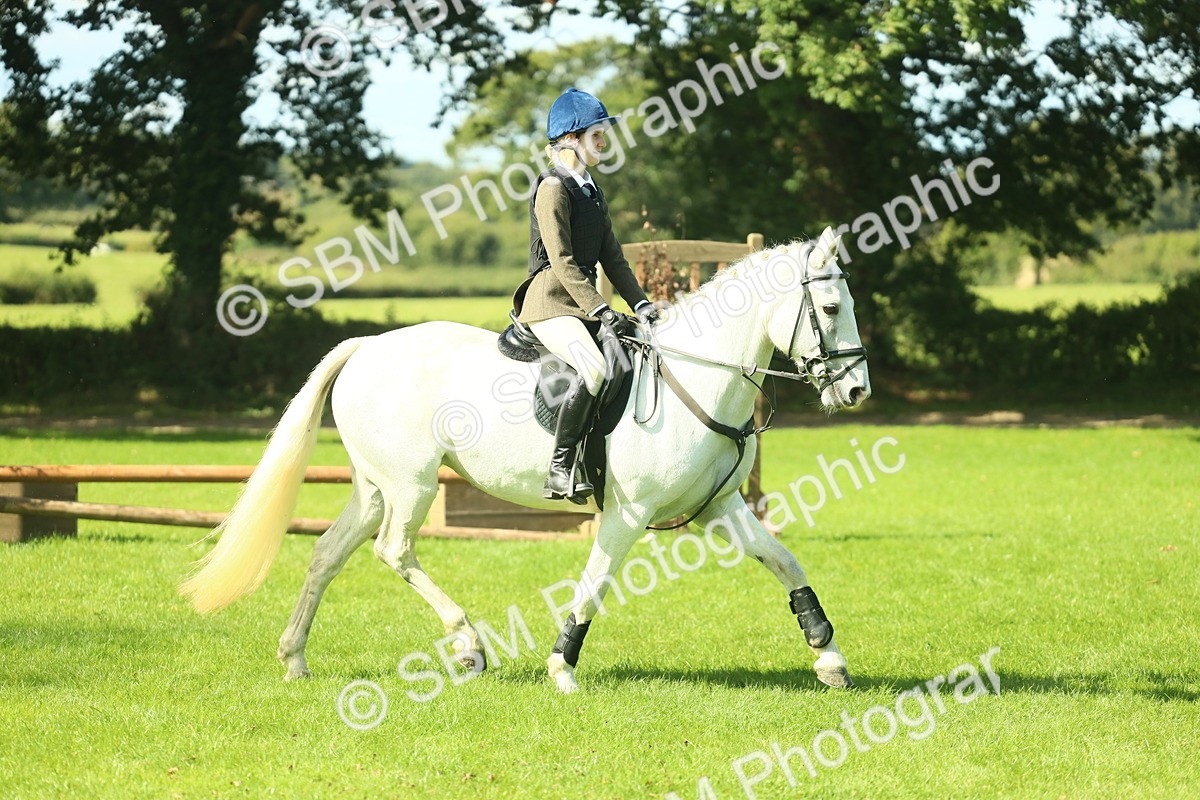 SBM_39264 - S29 - Novice & Newcomers Working Hunter Pony