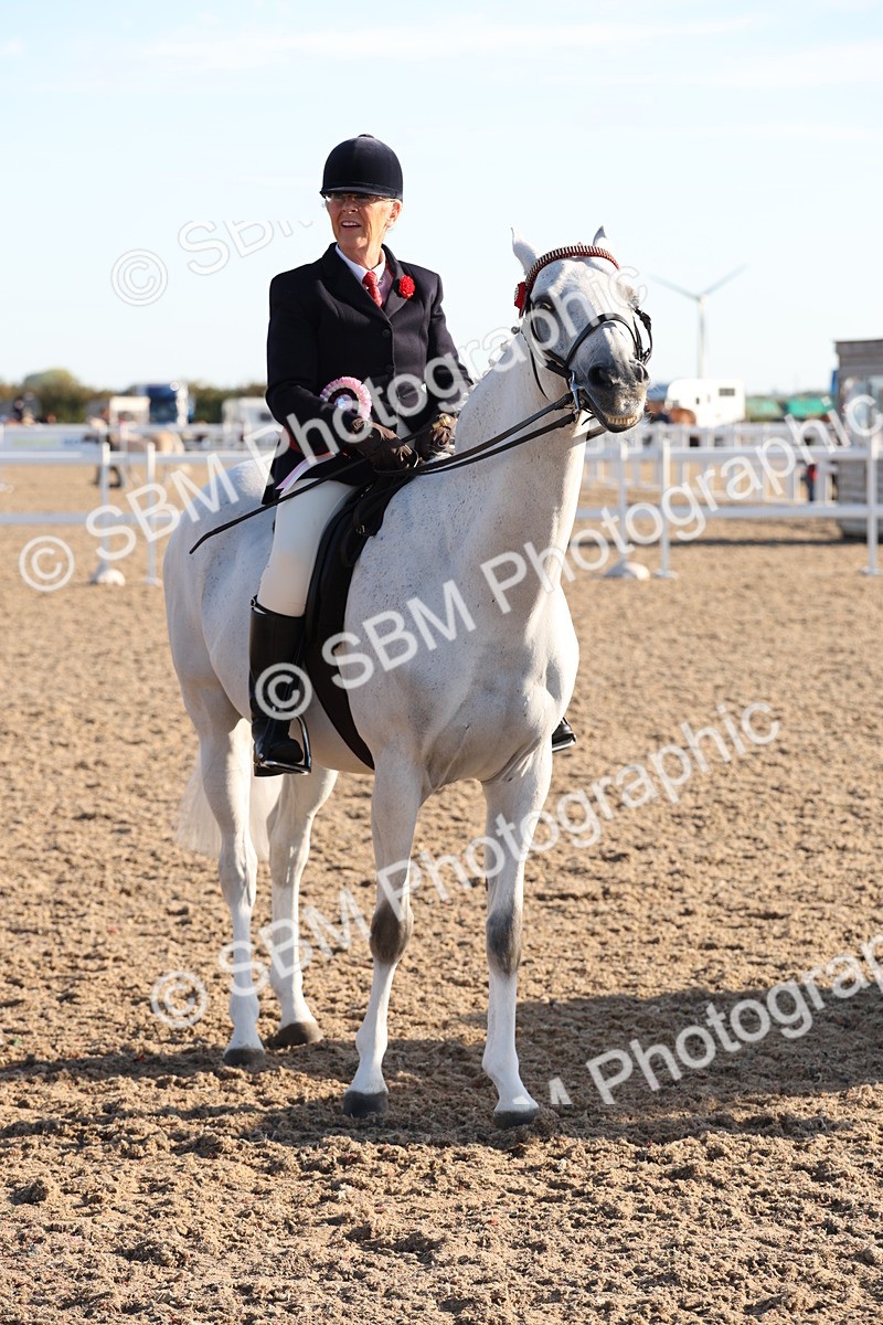 SBM_10876 - Class 202 - Best Turned Out - Ridden