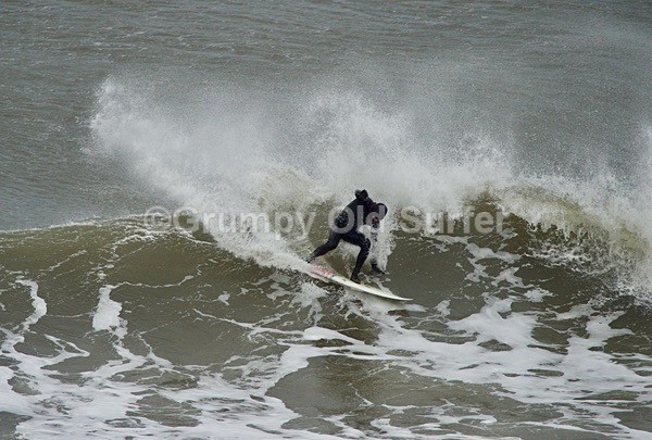 DSC_1507 - Cayton Bay - 11th April 2017