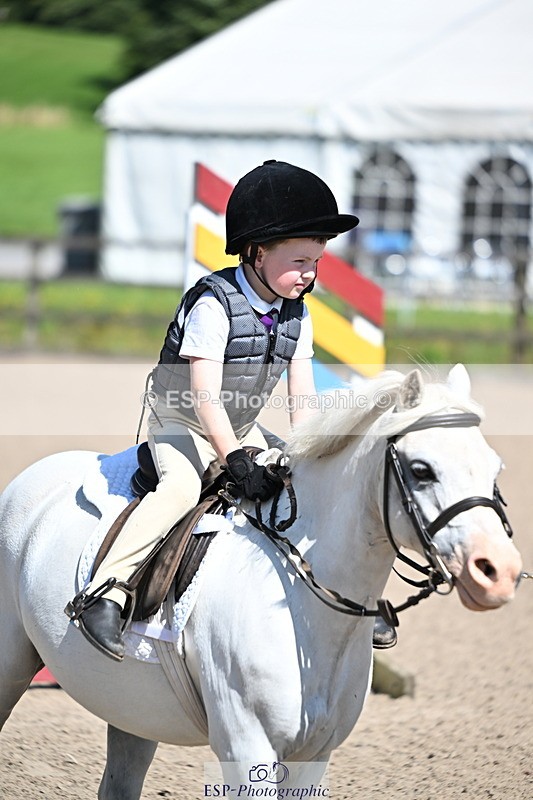 240729B-110238-02199 - Showjumping Competition