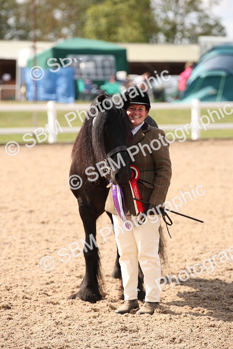 SBM_03450 - Class 18 Handsomest Gelding (IH or Ridden)