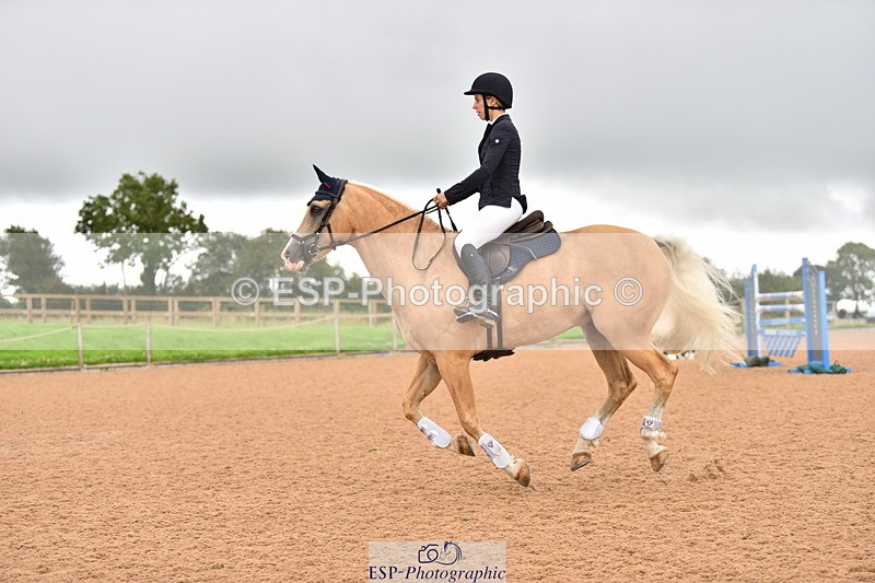 230808A-170426-00251 - 80cm