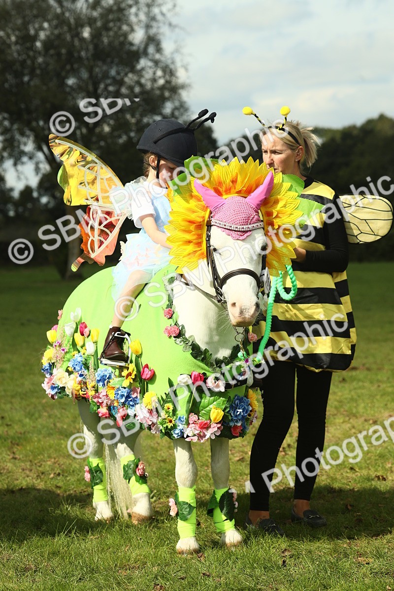 SBM_63668 - S35 - Fancy Dress Showing