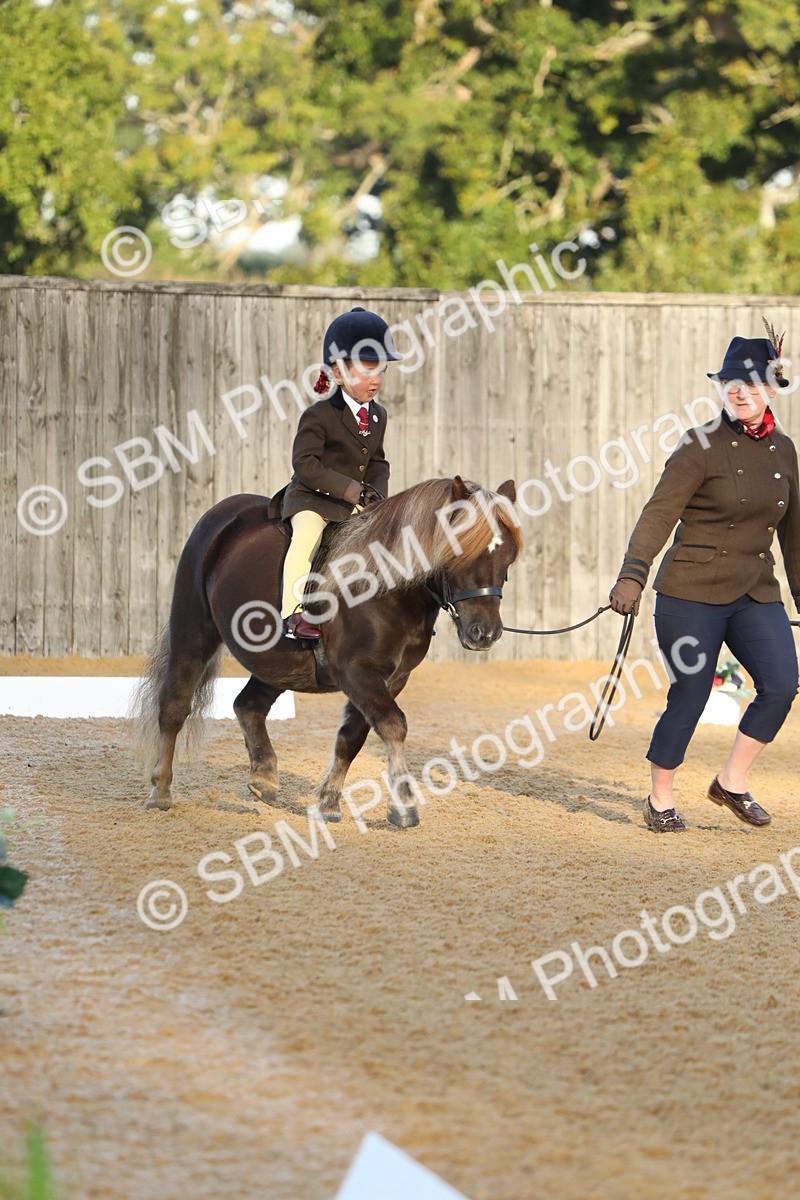 SBM_33534 - D26 - Starers - Lead Rein