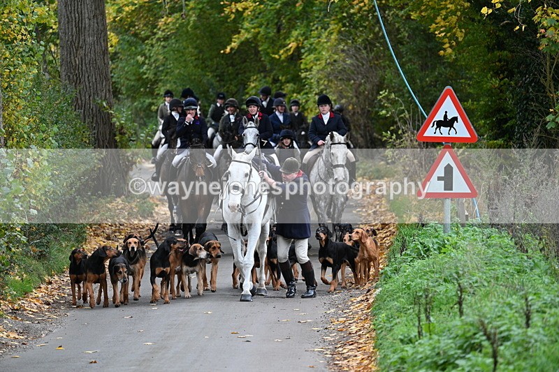 WJ7_7119 - Walk Home..
